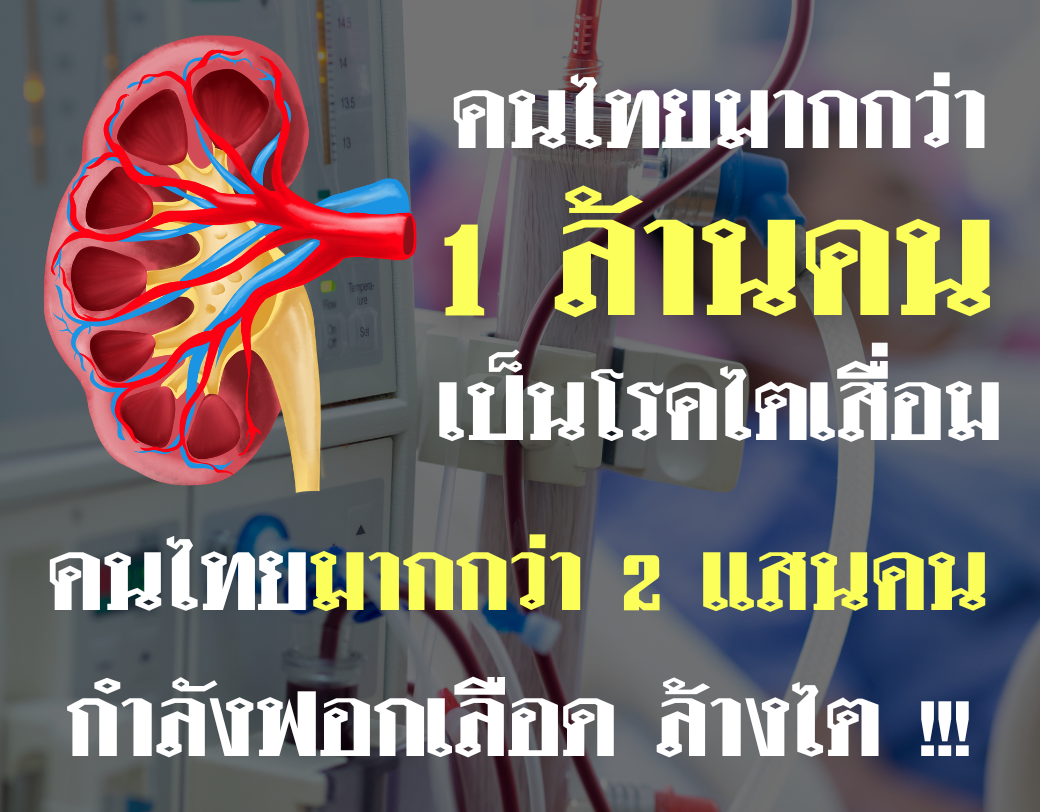 สถิติโรคไต ประเทศไทย